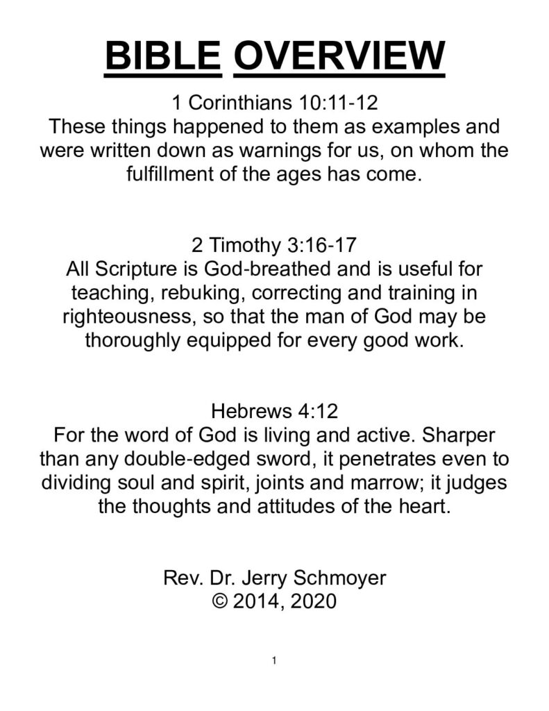 thumbnail of Bible-Overview-2020