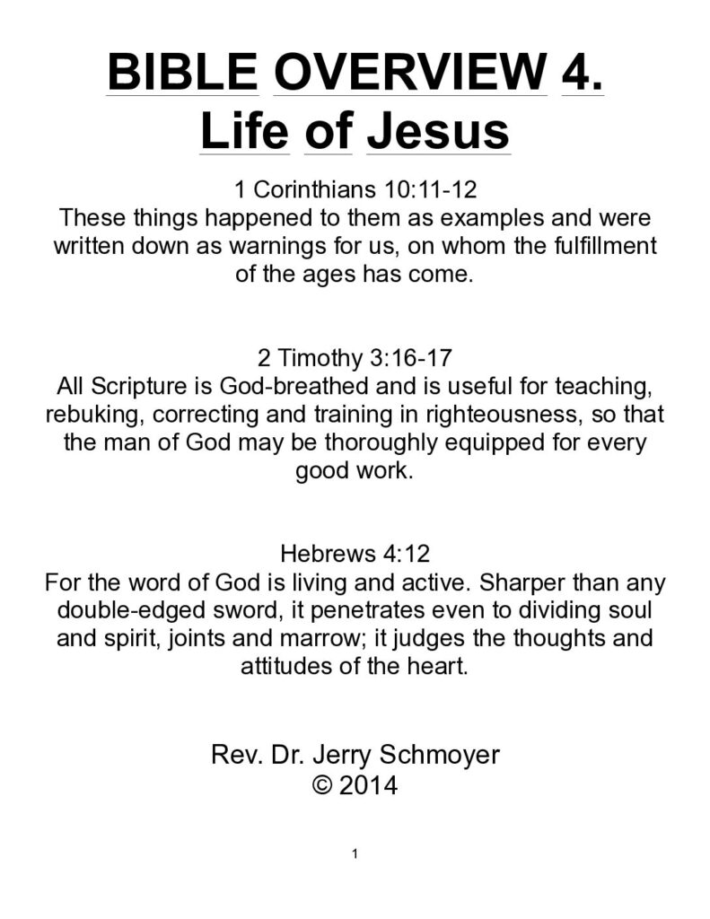 thumbnail of Bible Overview 4 Life of Jesus